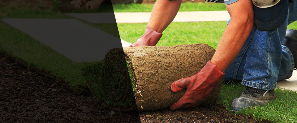 Statham Landscapers